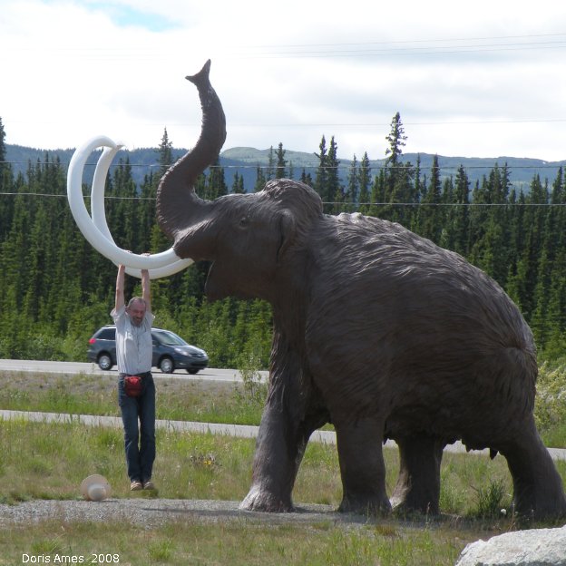 IMG 2008-Jun29 at Whitehorse YT:  me with Mammoth (Mammuthus sp)