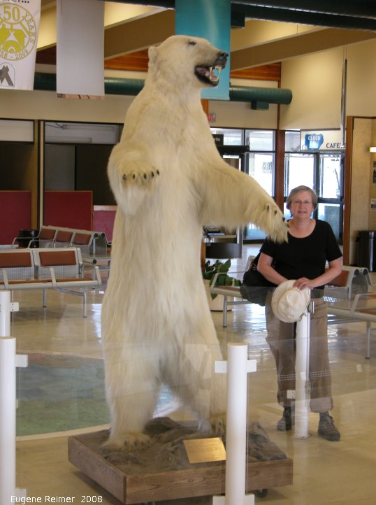IMG 2008-Jul04 at the Inuvik airport:  Peggy and a Polar bear (Ursus maritimus)