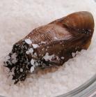 object: mummified human toe in pickling-salt