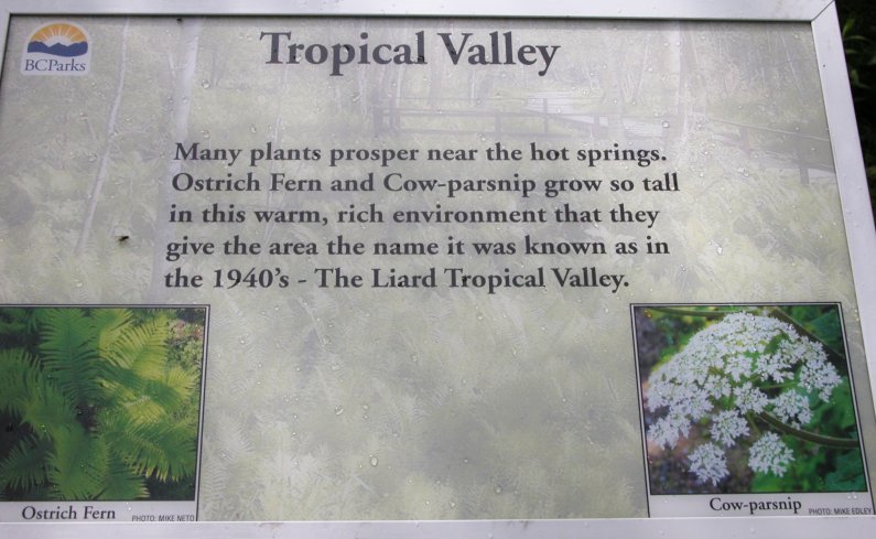 IMG 2008-Jul11 at Liard Hotsprings-BC:&nbsp; sign about the Tropical Valley