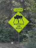 sign: Buffalo on Road