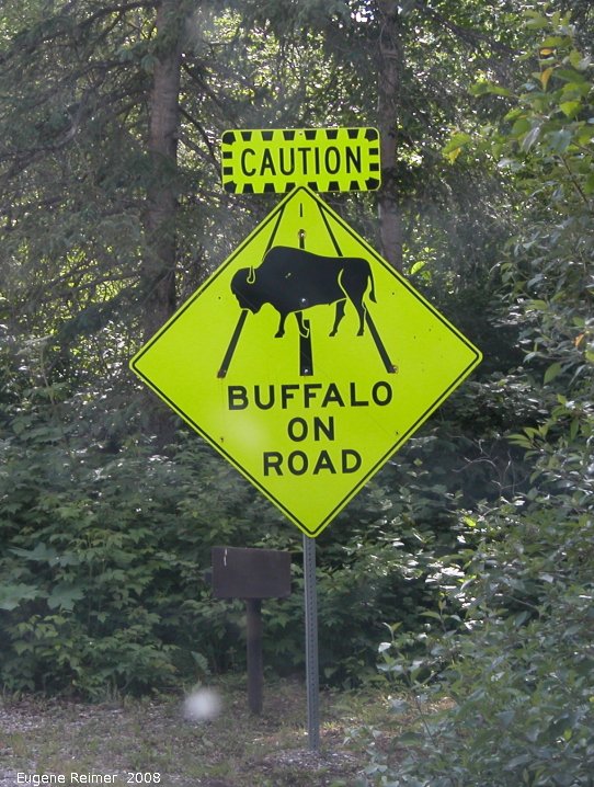 IMG 2008-Jul11 at Alaska-Hwy near Muncho-Lake-BC:  sign Buffalo (Bison bison) on Road