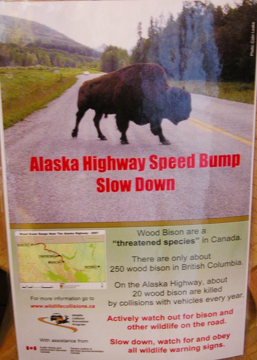 IMG 2008-Jul11 at Alaska-Hwy near Muncho-Lake-BC:&nbsp; sign about Bison (Bison bison) on Road hazard