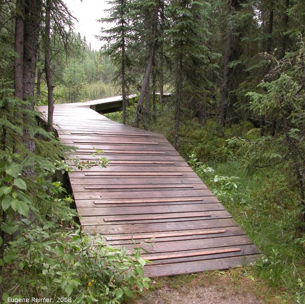 IMG 2008-Jul16 at the WagnerBog near Edmonton:&nbsp; boardwalk