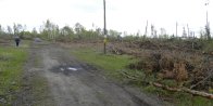 habitat: Contour after blowdown + firewood-harvesting