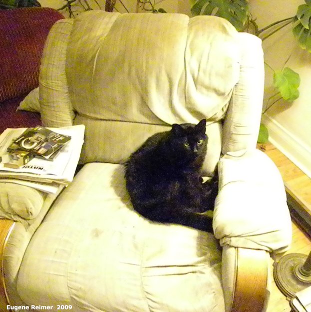 IMG 2009-Jun08 at Experimenting with Nikon-P90:&nbsp; testing Blackie