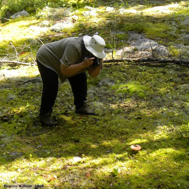 IMG 2009-Jul30 at Black Lake:  photographer Doris zooms in on Mushroom (Fungi sp)