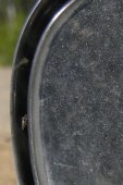 Black-fly?: on rearview-mirror