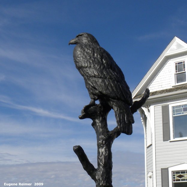 IMG 2009-Oct18 at Altona:&nbsp; sculpture Bald eagle (Haliaeetus leucocephalus)