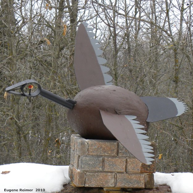 IMG 2010-Mar09 at DawsonRd near Richer MB:  the Canada goose (Branta canadensis) driveway marker closer