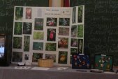 display: Native Orchid Conservation Inc