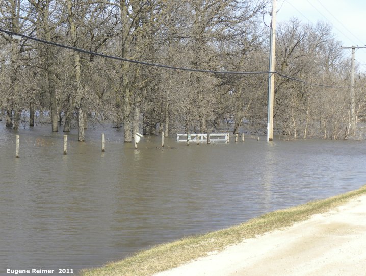 IMG 2011-Apr29 at St-Mary's Rd and SE-Winnipeg or East side of Red River:&nbsp; flood water and Bluebird (Sialia sp) nesting-box
