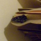 Sphinx-moth (Sphingidae sp): in my office very bad