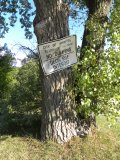 sign: No Dumping on Eastern cottonwood (Populus deltoides)