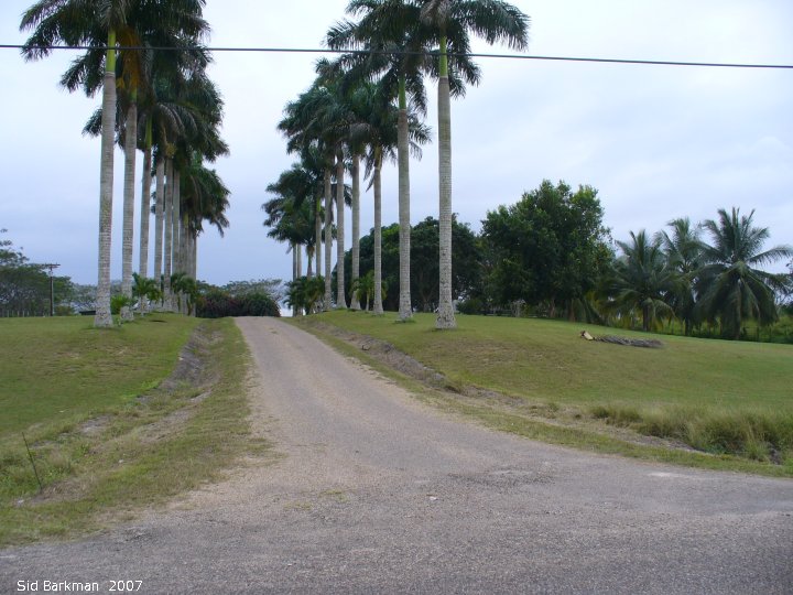 IMG 2007-Feb at Belize:  Belize